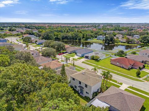 A home in RIVERVIEW