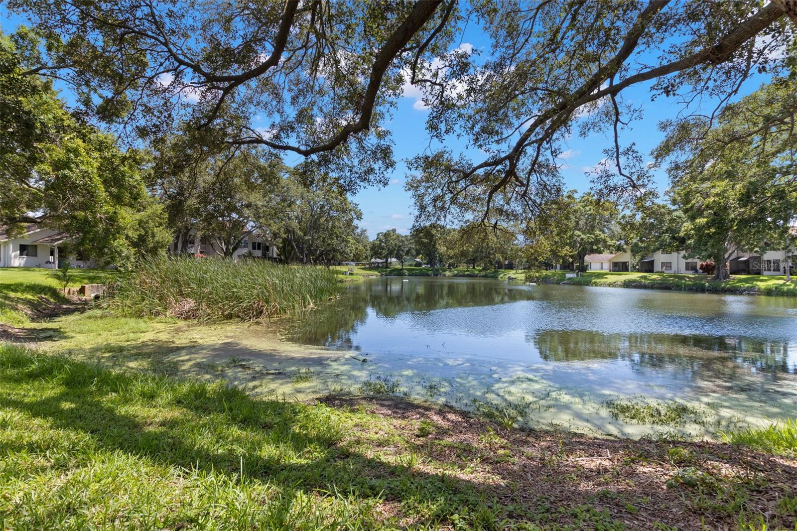 440 LAKEVIEW DRIVE 34