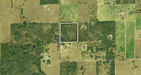 Photo of Tbd NE Cr 337, Bronson, FL 32621 (MLS # OM727633)