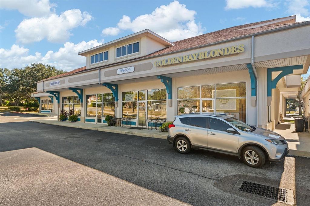 Photo of 1480 Alt 19, Palm Harbor, FL 34683 (MLS # TB8447175)