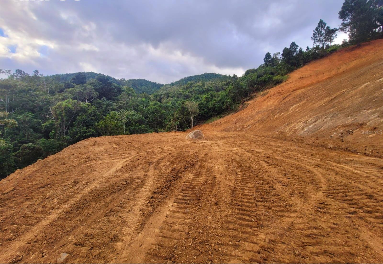 720 PALO HINCADO