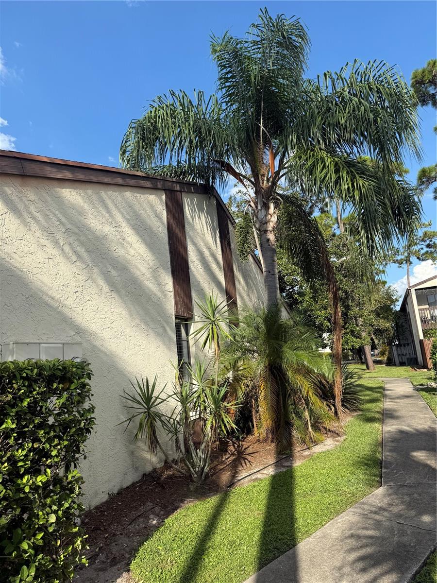 WINDSOR PINES 2 CONDO - Residential