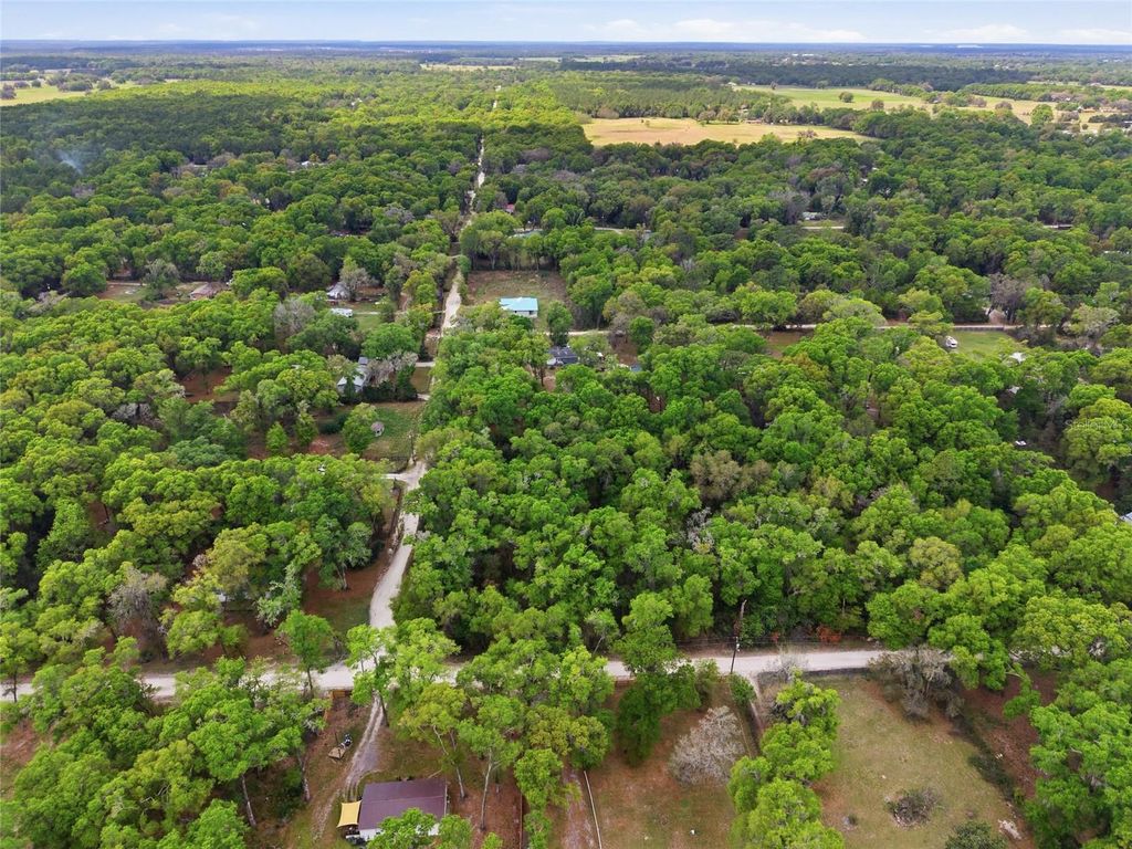 Photo of 17792 SE 30th Avenue, Summerfield, FL 34491 (MLS # OM721555)