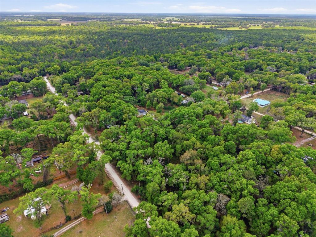 Photo of 17792 SE 30th Avenue, Summerfield, FL 34491 (MLS # OM721555)