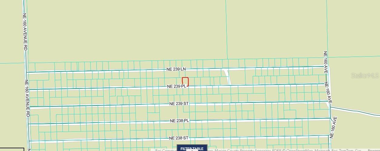 OCALA NATIONAL FRST CAMPSITES - Land