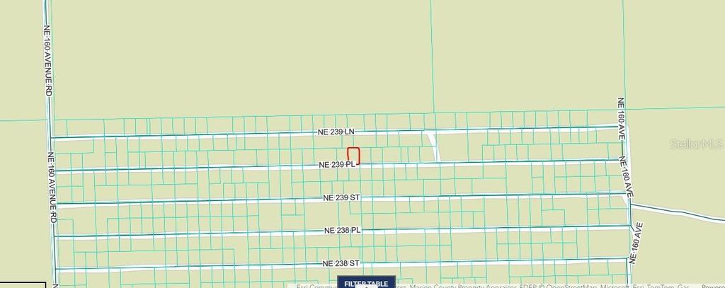 Photo of NE 243rd Place Rd, Fort Mccoy, FL 32134 (MLS # O6388635)