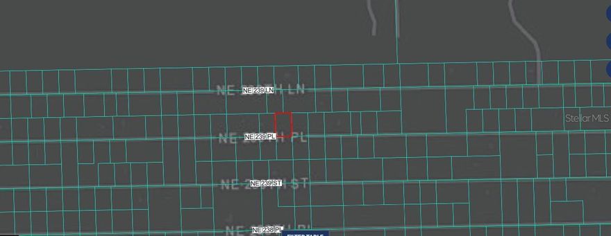 Build your dream spot or invest in land in peaceful Fort McCoy! This 0.21-acre vacant lot on NE 243rd Place Rd offers a great opportunity to own property in a quiet, natural setting while still being within driving distance of Ocala. Surrounded by Florida’s beautiful countryside, this property is perfect for a future weekend retreat, or long-term investment. Enjoy nearby lakes, outdoor recreation, and the relaxed lifestyle of Marion County while securing an affordable piece of land.Pin Location: Latitude 29.49923756, Longitude -81.89916567. Note: buyers I emphasize the importance of conducting thorough due diligence to ensure that the property meets your expectations and requirements.