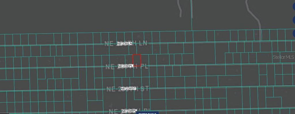 Photo of NE 243rd Place Rd, Fort Mccoy, FL 32134 (MLS # O6388635)