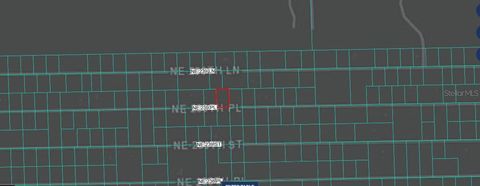 NE 243RD PLACE RD FORT MC COY FL 32134