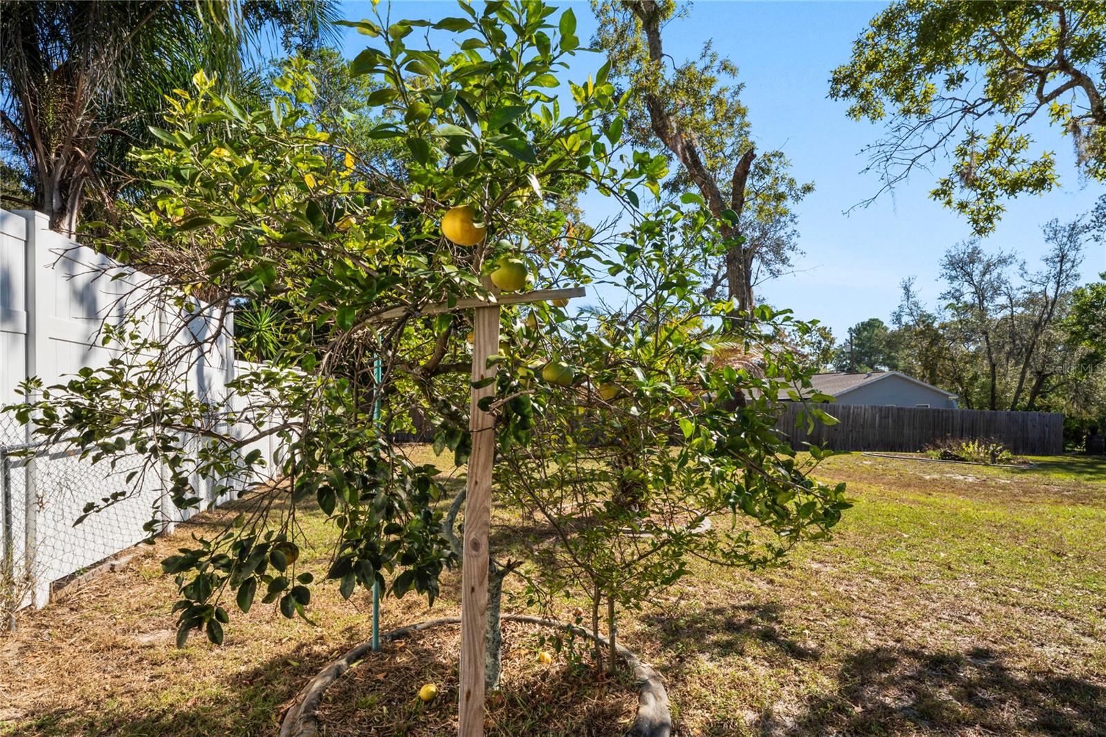 VOSS OAK LAKE ESTATE - Residential