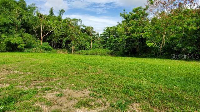 BAYAMON 18 CUERDAS IN FRONT OF PR 22 - Land