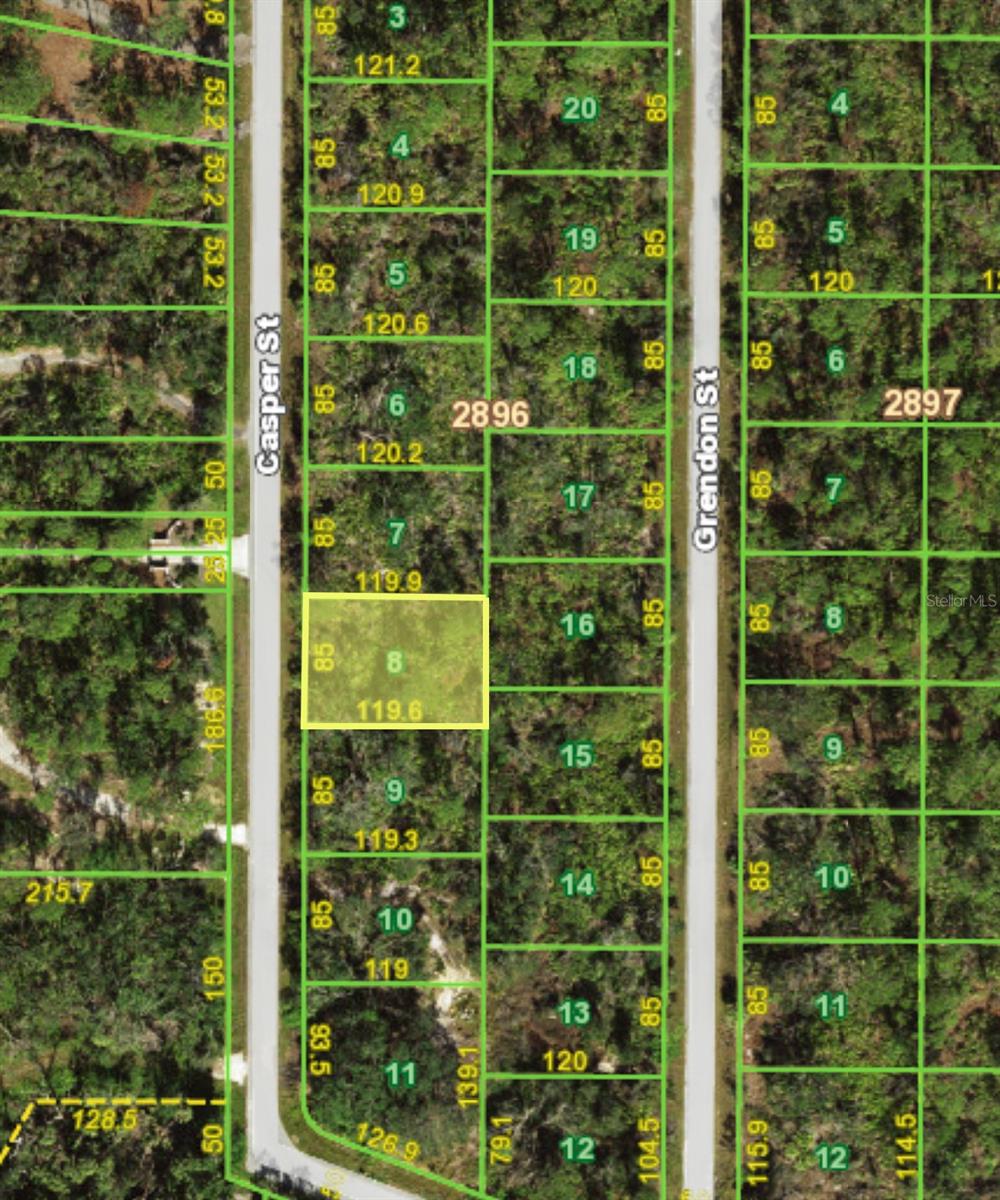 Beautiful lot in Port Charlotte near the Apollo waterway. The Apollo Waterway leads to the Myakka River then on to Charlotte Harbor, the Intercoastal Waterway and the Gulf of Mexico .Only 17 mi to the Englewood Beach. According to county website this is not area with Scrub Jay. Many new homes in the area. No other signs of species per Environmental report obtained by the owner. Copy available if needed; Cleared: No