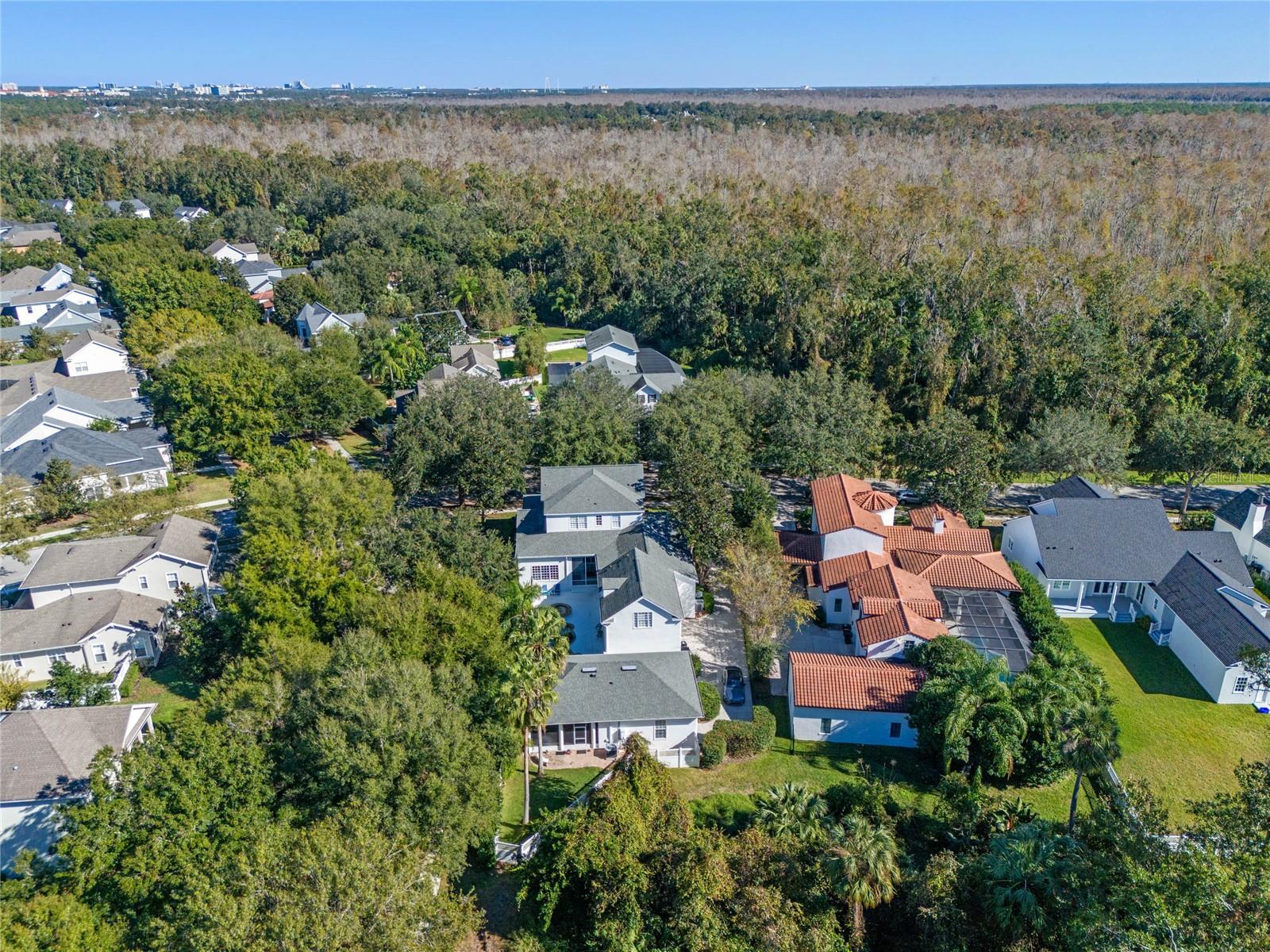 CELEBRATION AREA 5 - Residential