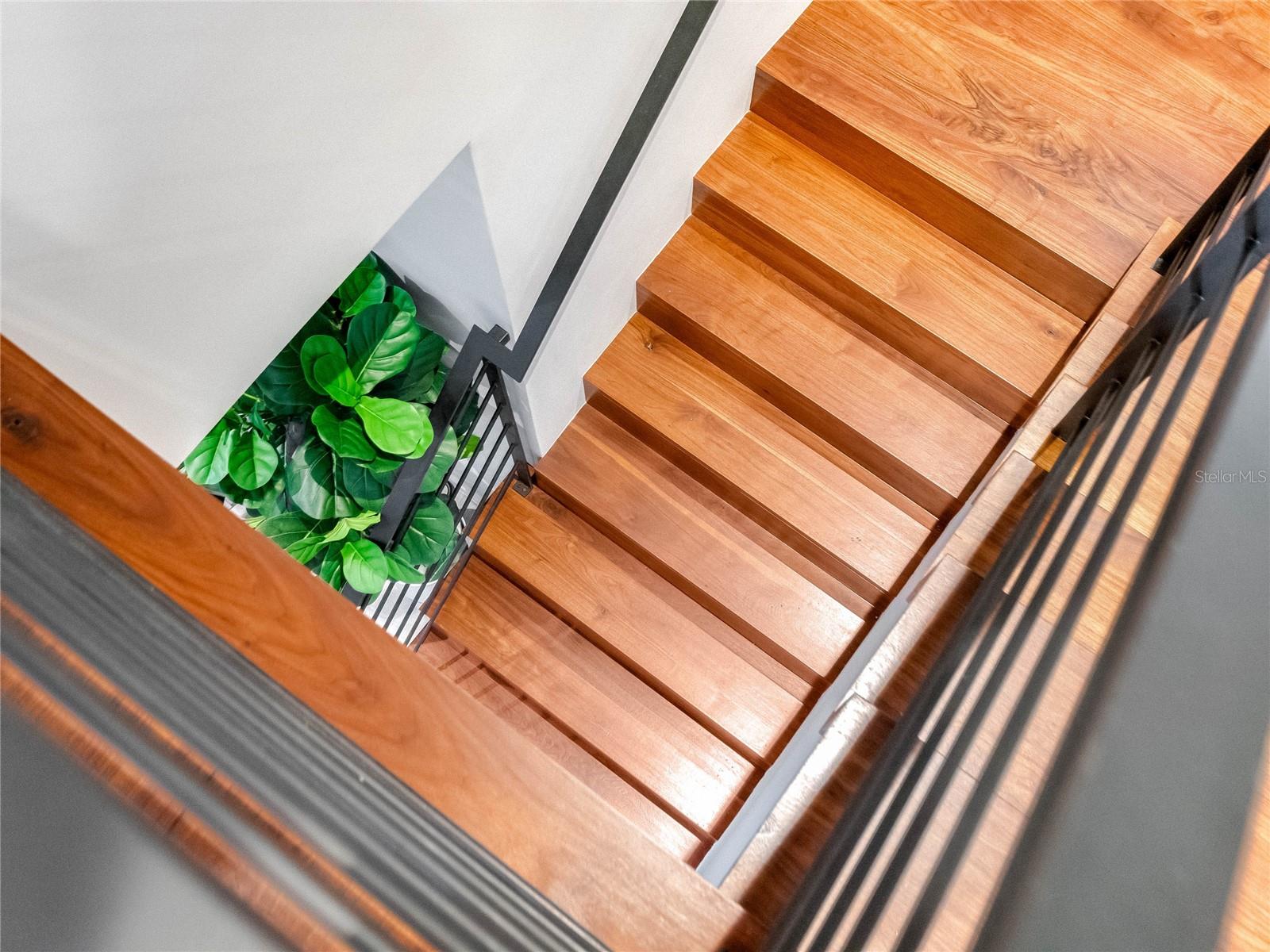 CELEBRATION AREA 5 - Residential