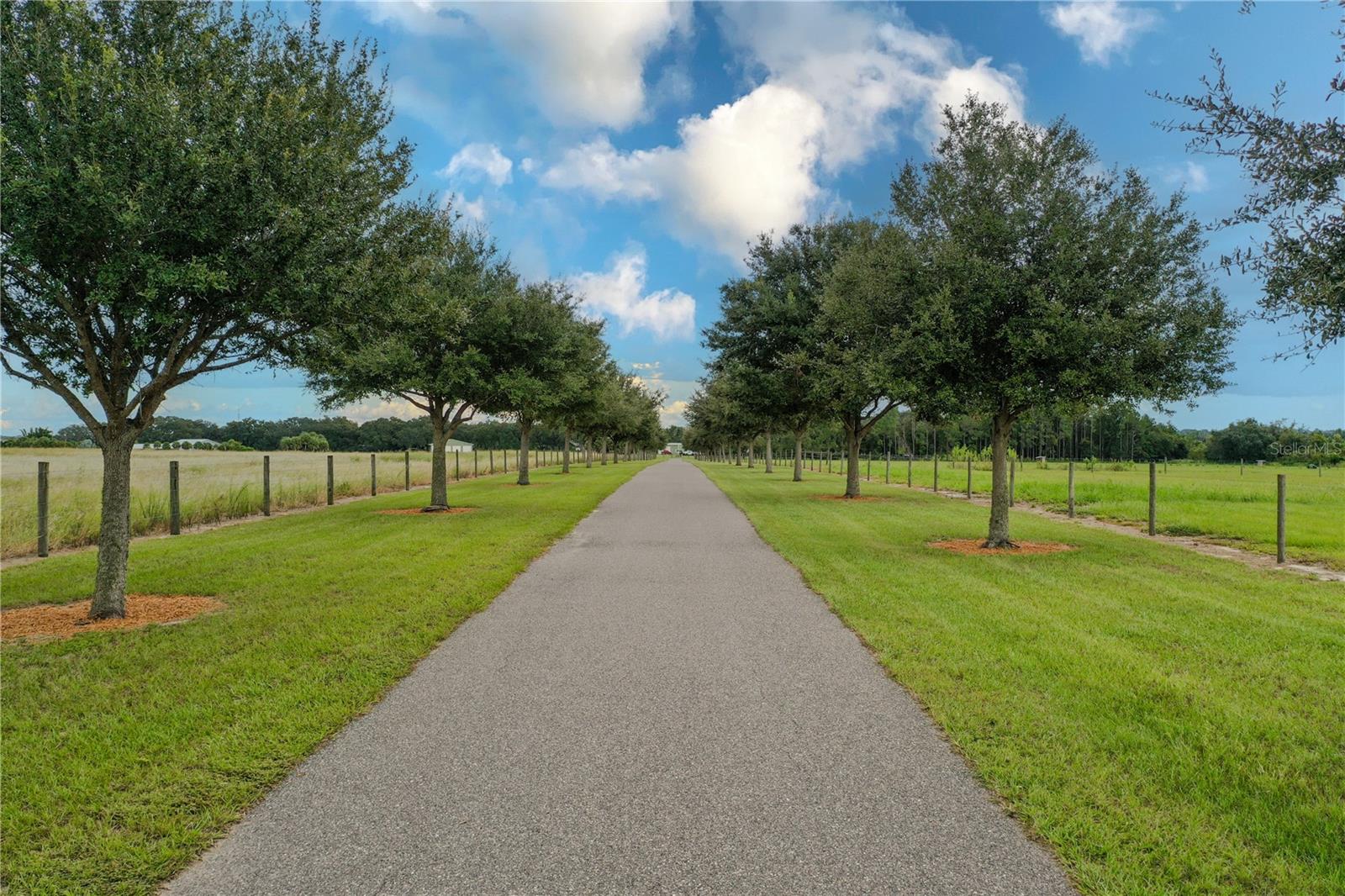 NOT IN SUBDIVISION - Residential