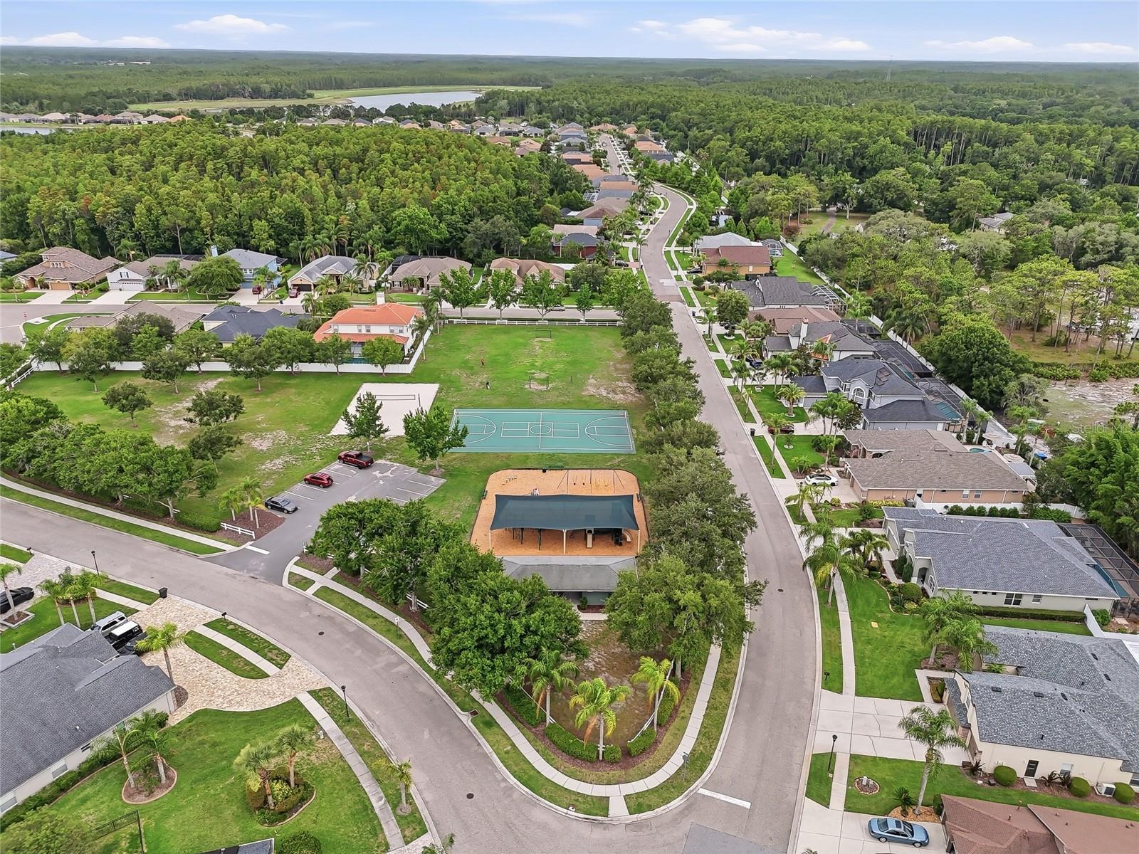 IVY LAKE ESTATES - Residential