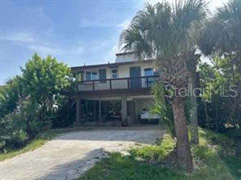 A home in NEW SMYRNA BEACH