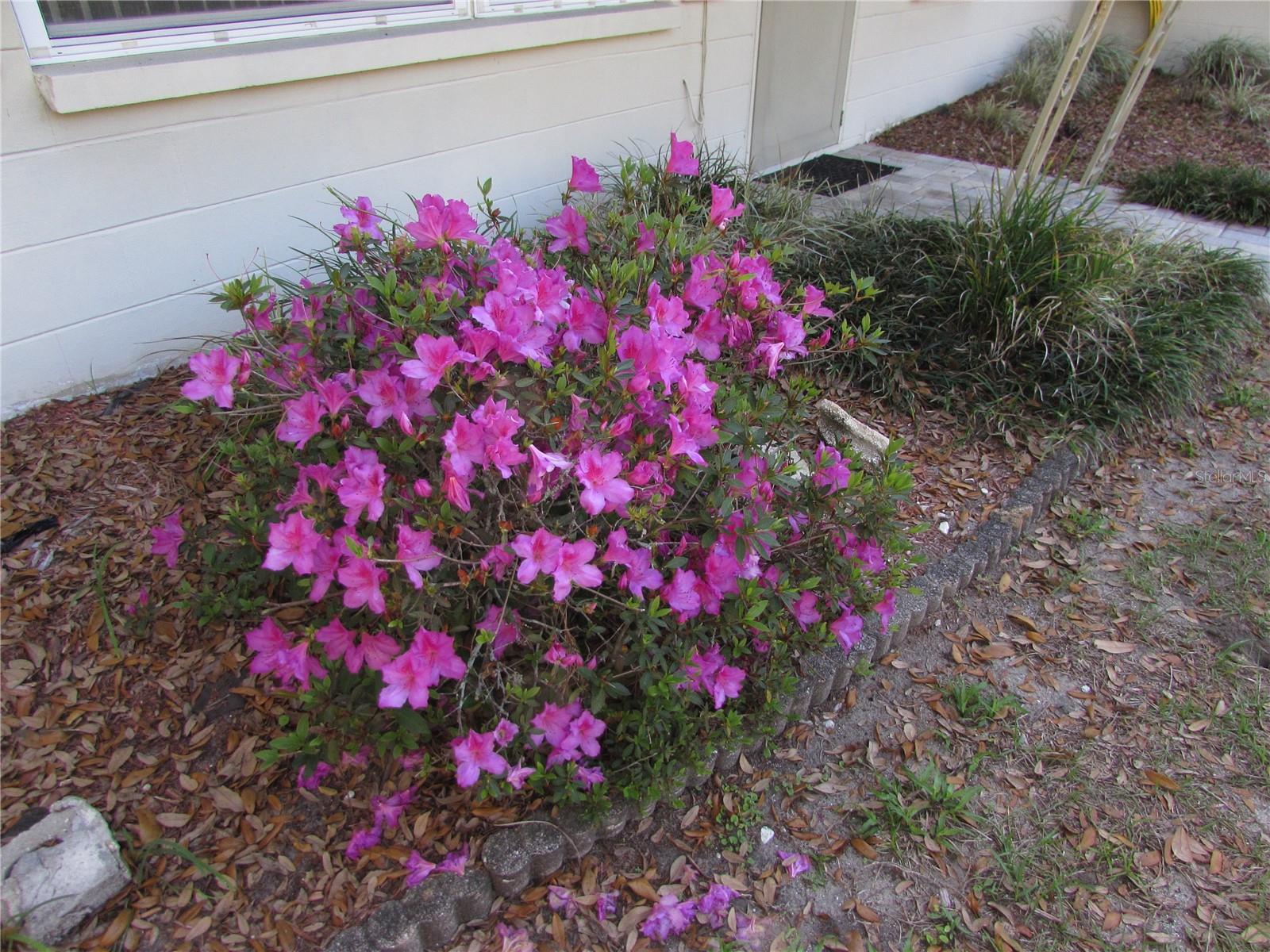 ELLSWORTH POINT 1ST ADD - Residential