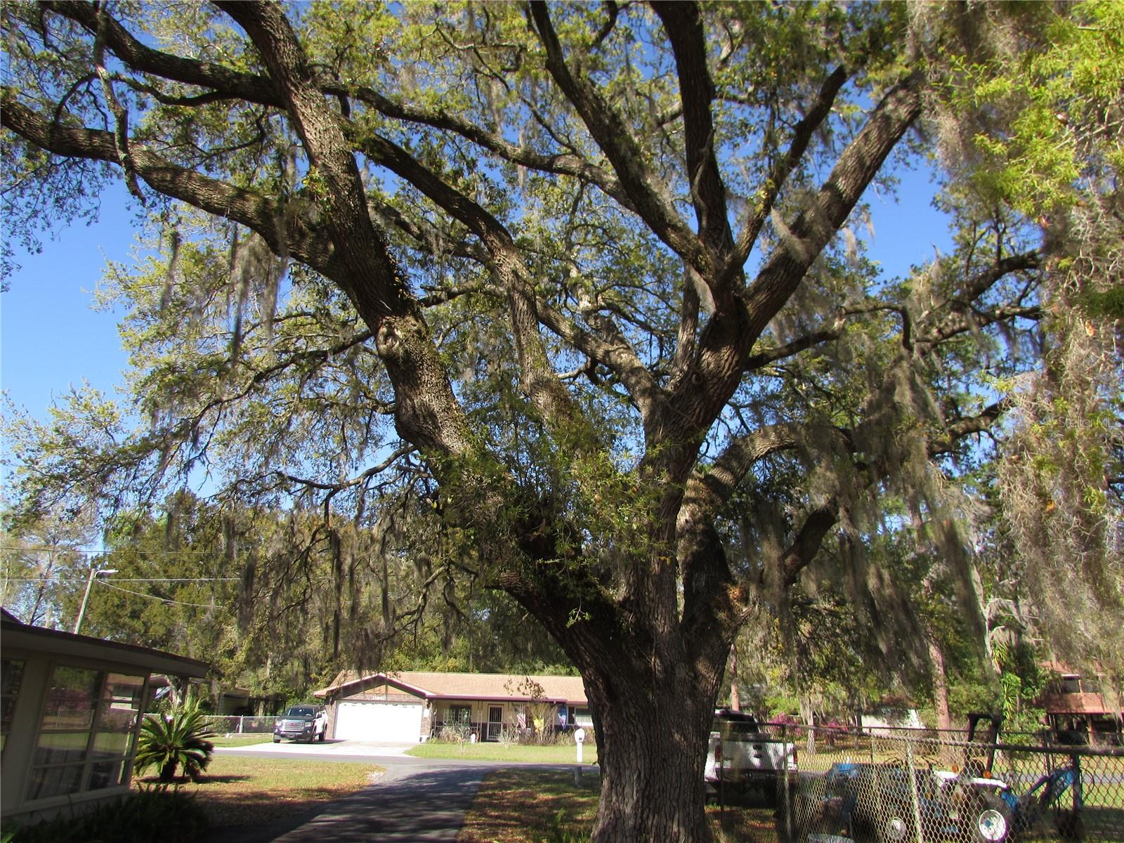 ELLSWORTH POINT 1ST ADD - Residential