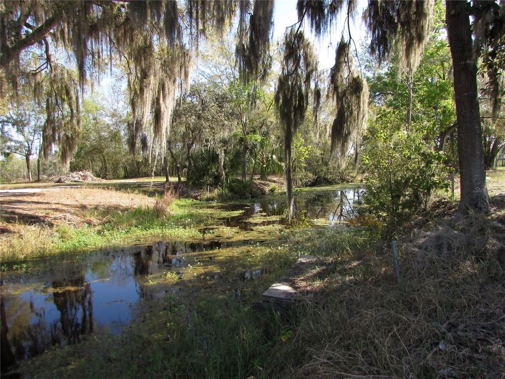 Photo of 11931 N Bearl Terrace, Dunnellon, FL 34433 (MLS # OM720614)