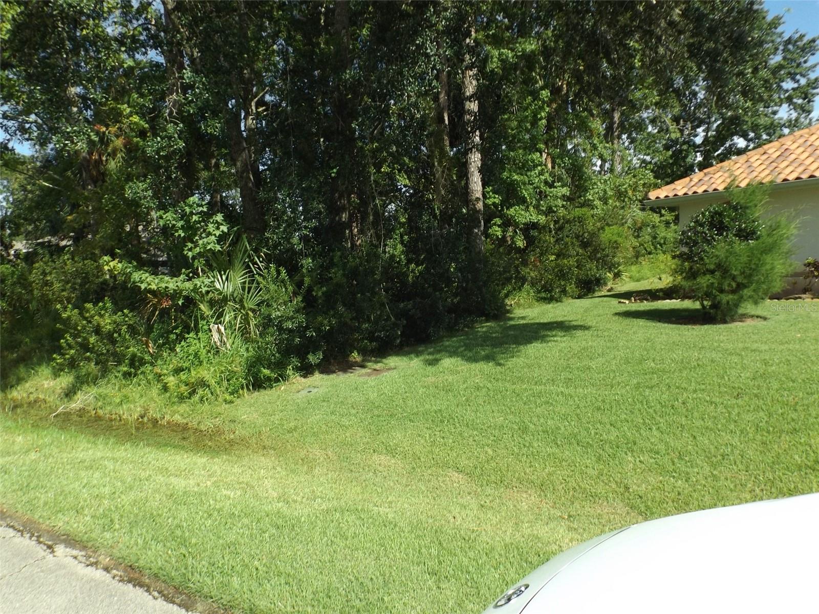 SUPER PINE GROVE SINGLE FAMILY home lot. Bring your plans build now or later.