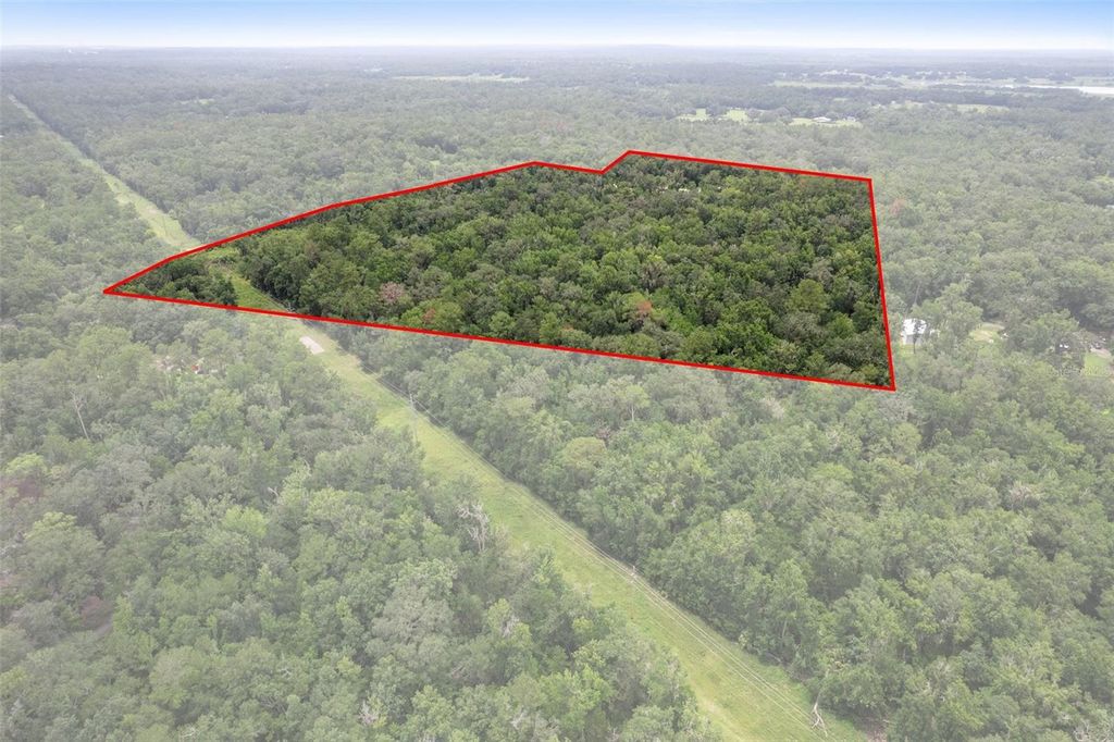 Photo of 6440 Cedar Lane, Brooksville, FL 34601 (MLS # W7878765)