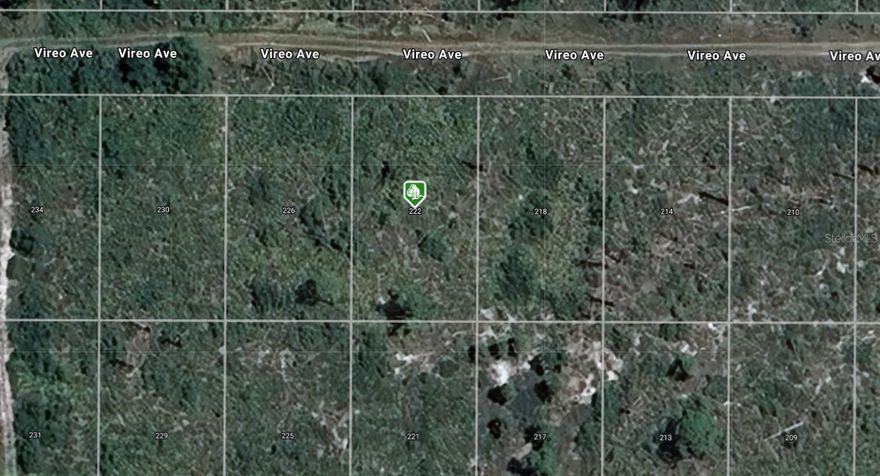 A VACANT LOT IN SEBRING IN HIGHLANDS COUNTY!!!