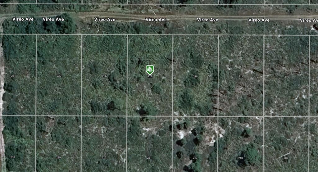 Photo of 222 Vireo Avenue, Sebring, FL 33870 (MLS # A4691743)
