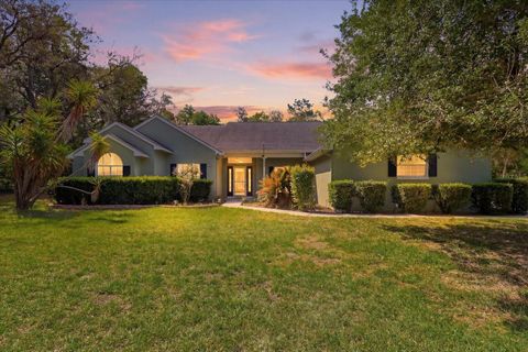 Tiny photo for 1852 W Ivorywood Drive, Beverly Hills, FL 34465 (MLS # OM714788)