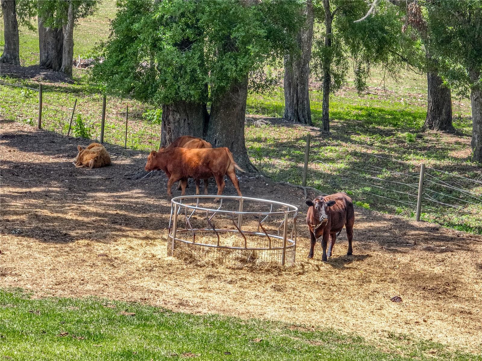 ACREAGE - Residential