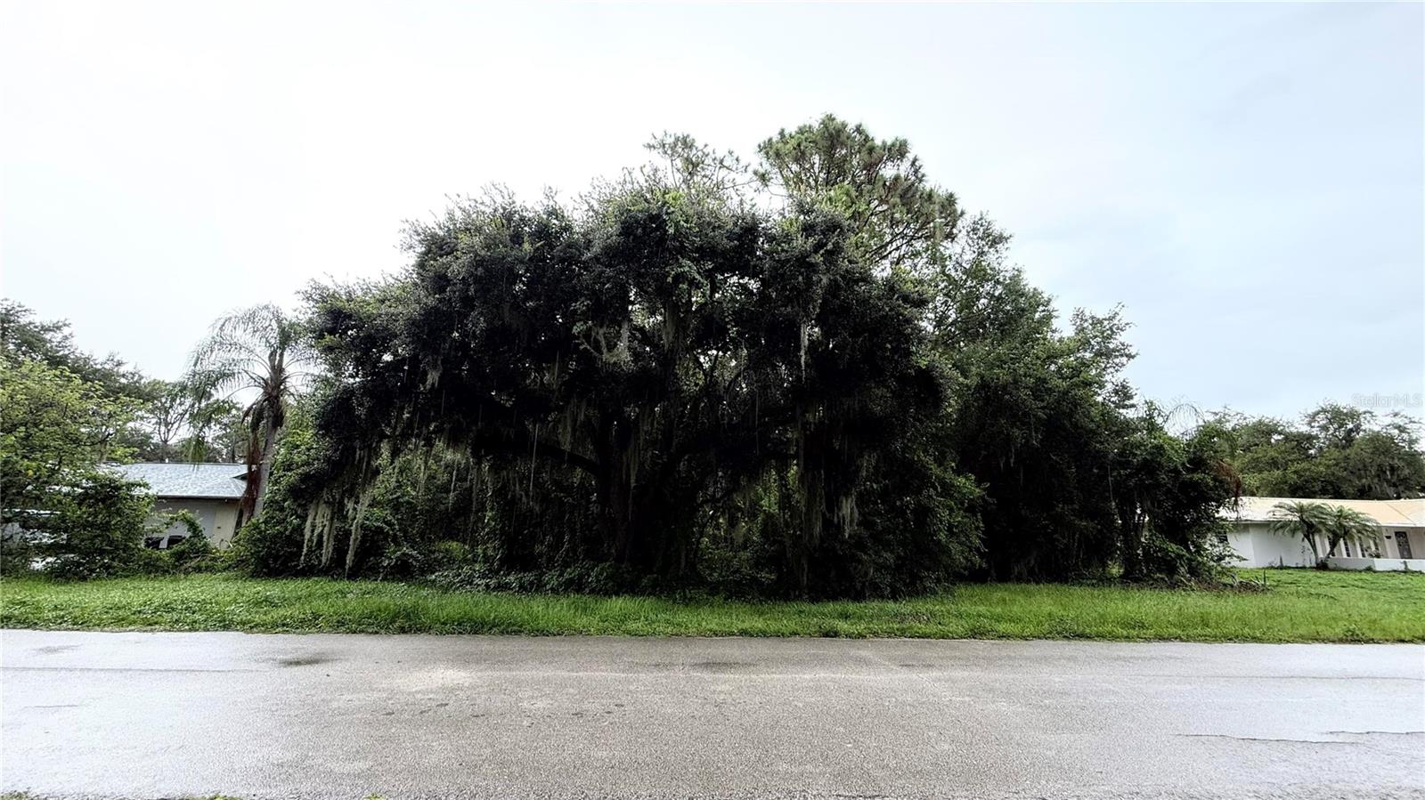 SPRING LAKE VILL 01 - Land