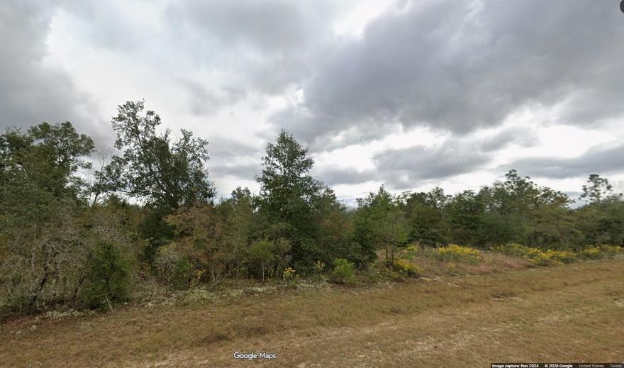 Seller has 2 adjacent lots. This one is Lot 11. It is 80x125 and is priced at $5,900. Seller also owns Lot 10, 80x125, also priced at $5,900. Lots are adjoining, and seller wants to sell them together. Both lots total .46 acres together. Nice building lots for single-family homes in the quickly growing subdivision of Sunny Hills!! ...what are you waiting for...Sunny Hills boasts the magnificent Sunny Hills Golf and Country Club!! No time frame to build in...homes only subdivision, no mobile homes...no HOA!! Come build your dream home now!! Don't miss out, call today!!! Buy at this low price for investment and reap the benefits at a later date when the area is developed!!