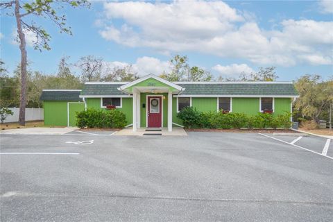 Photo of 11840 N Angus Hills Terrace, Dunnellon, FL 34433 (MLS # OM718523)