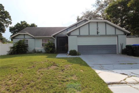 A home in ORLANDO