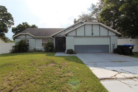 A home in ORLANDO