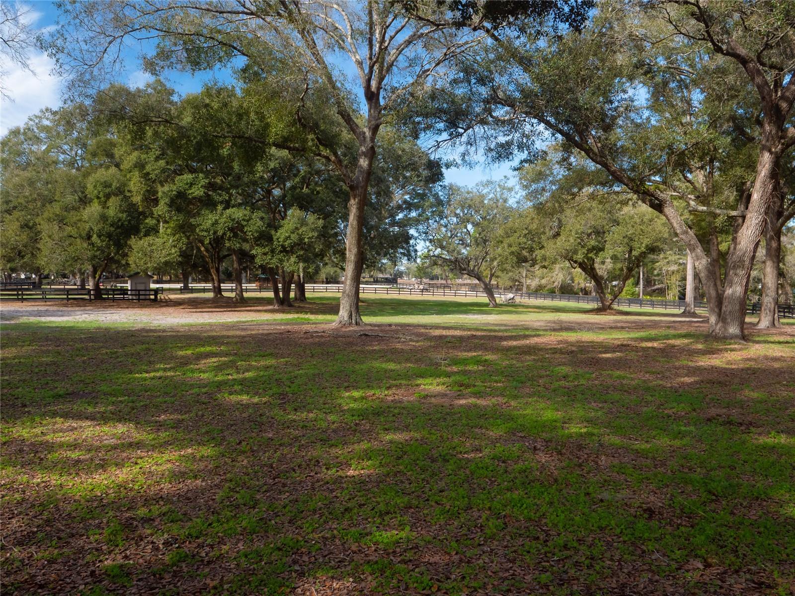 PINNACLE PARK - Farm