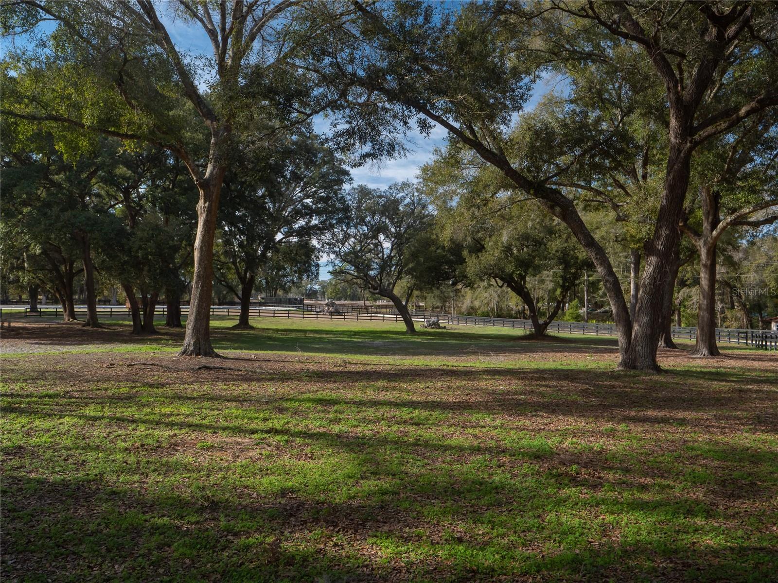 PINNACLE PARK - Farm