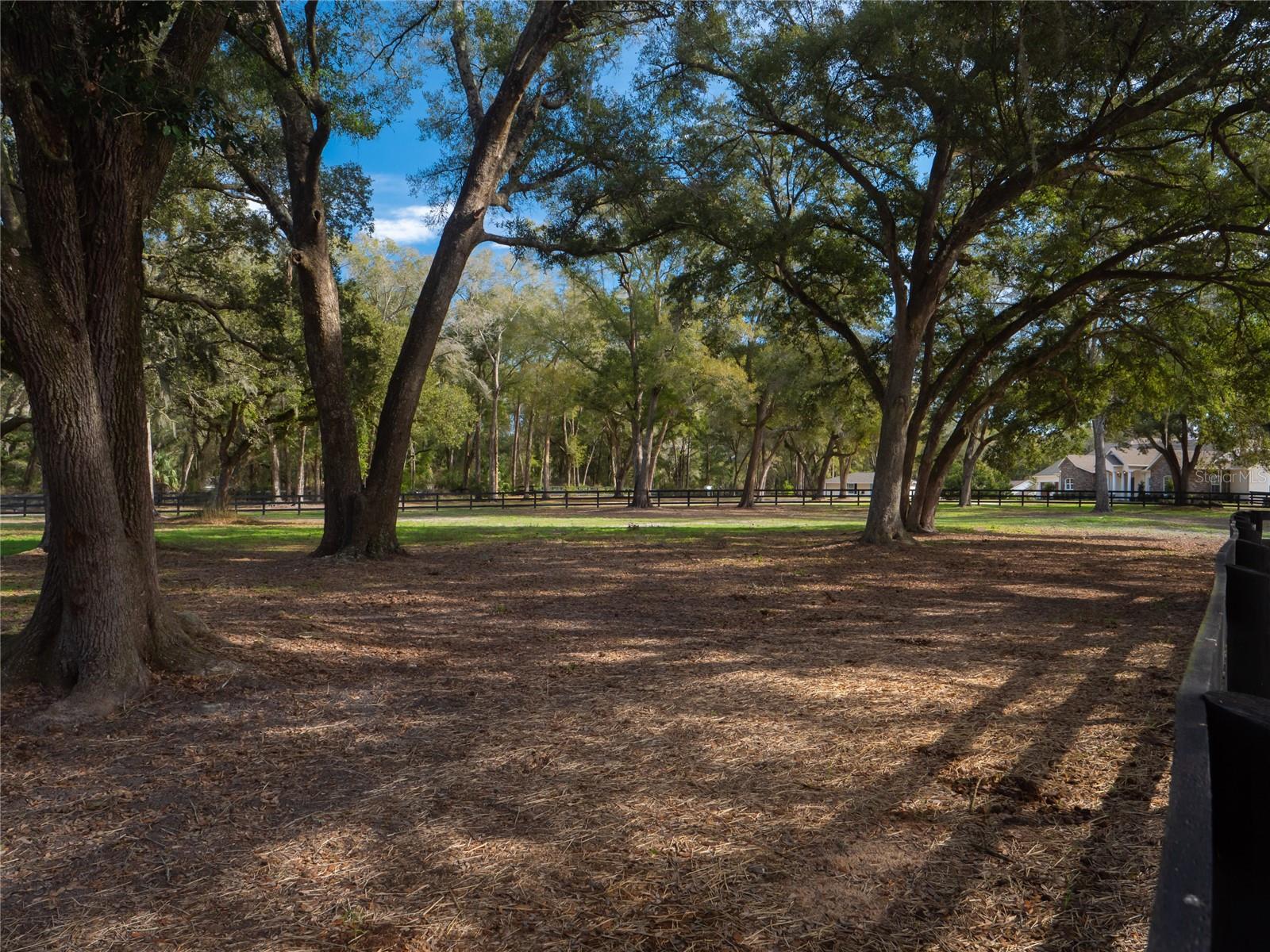 PINNACLE PARK - Farm