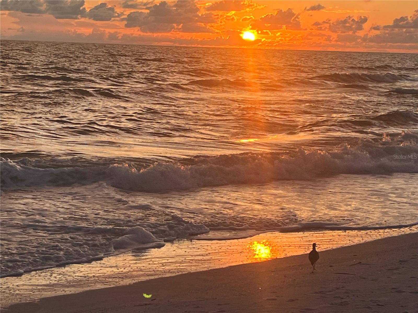 PIPERS RUN CONDO - Residential