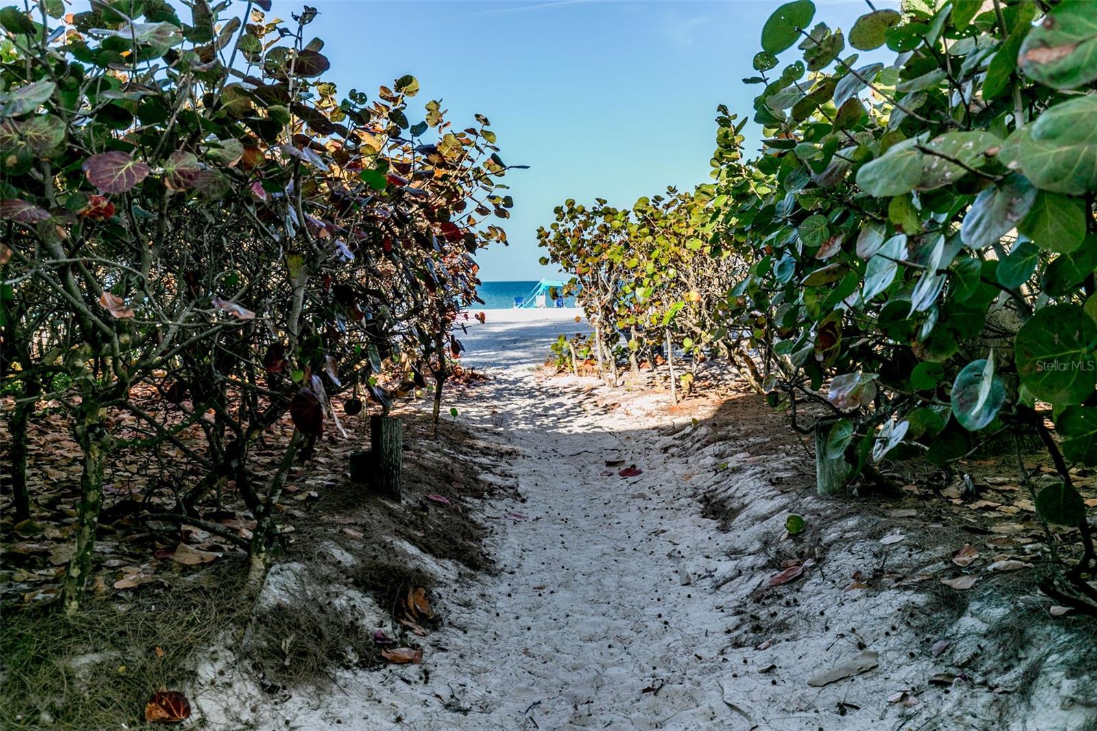 PIPERS RUN CONDO - Residential