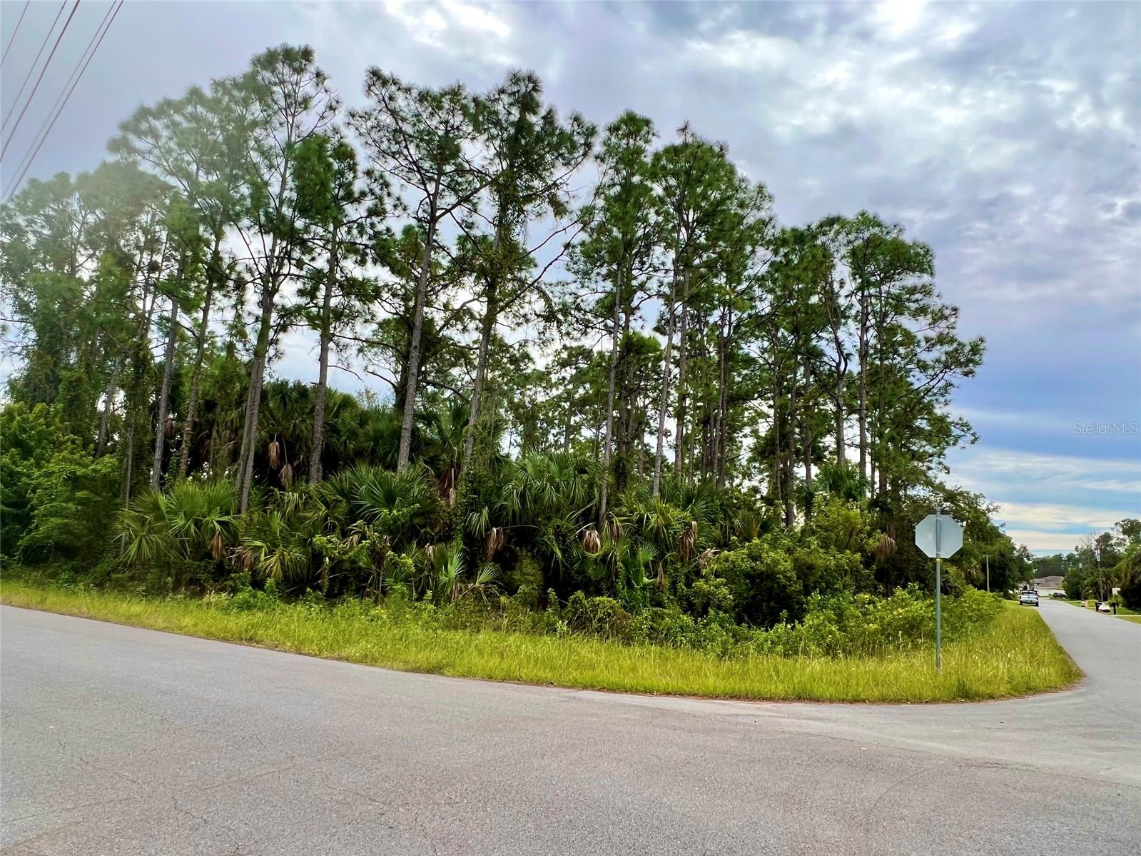 Welcome to the vibrant and rapidly growing community of North Port, Florida! This prime CORNER LOT offers an incredible opportunity to build your new home in the heart of this sunny paradise. With blooming construction all around, North Port is the place to be for both homeowners and investors alike. Not in a flood zone, no HOA. You'll be within close reach of schools, parks, shopping centers, restaurants, and medical facilities, ensuring that all your needs are met. The nearby Gulf Coast offers beautiful beaches, boating, fishing, and recreational opportunities. Its strategic location between Sarasota and Fort Myers provides easy access to major metropolitan areas, while still maintaining a small-town feel. Whether you're seeking a peaceful retirement destination, a place to raise a family, or an investment opportunity, North Port offers it all. Your dream home in sunny Florida awaits!