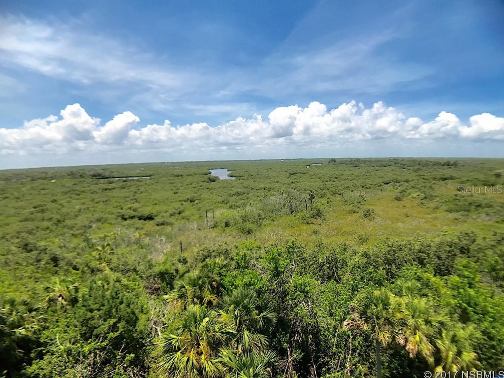 Ocean Walk Condo At Nsb - Residential