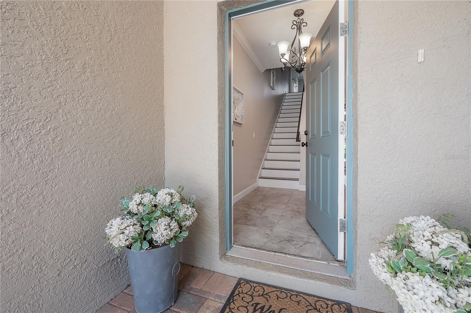 VILLAS OF SAN MARINO AT PALM HARBOR - Residential