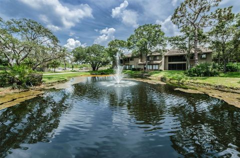 A home in PALM HARBOR