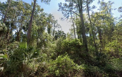 303 SIESTA DRIVE GEORGETOWN FL 32139