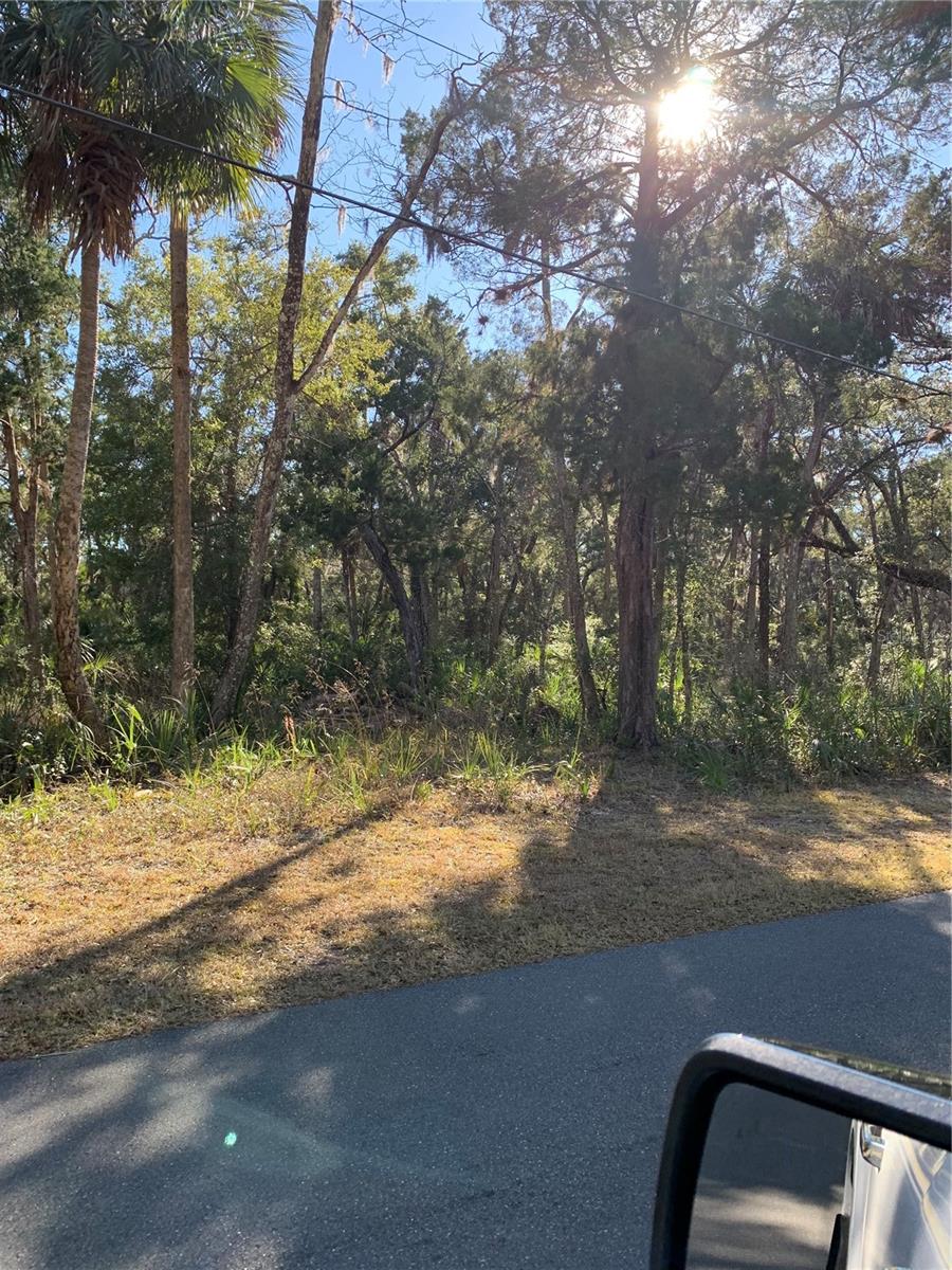 MASON CREEK ROAD - Land