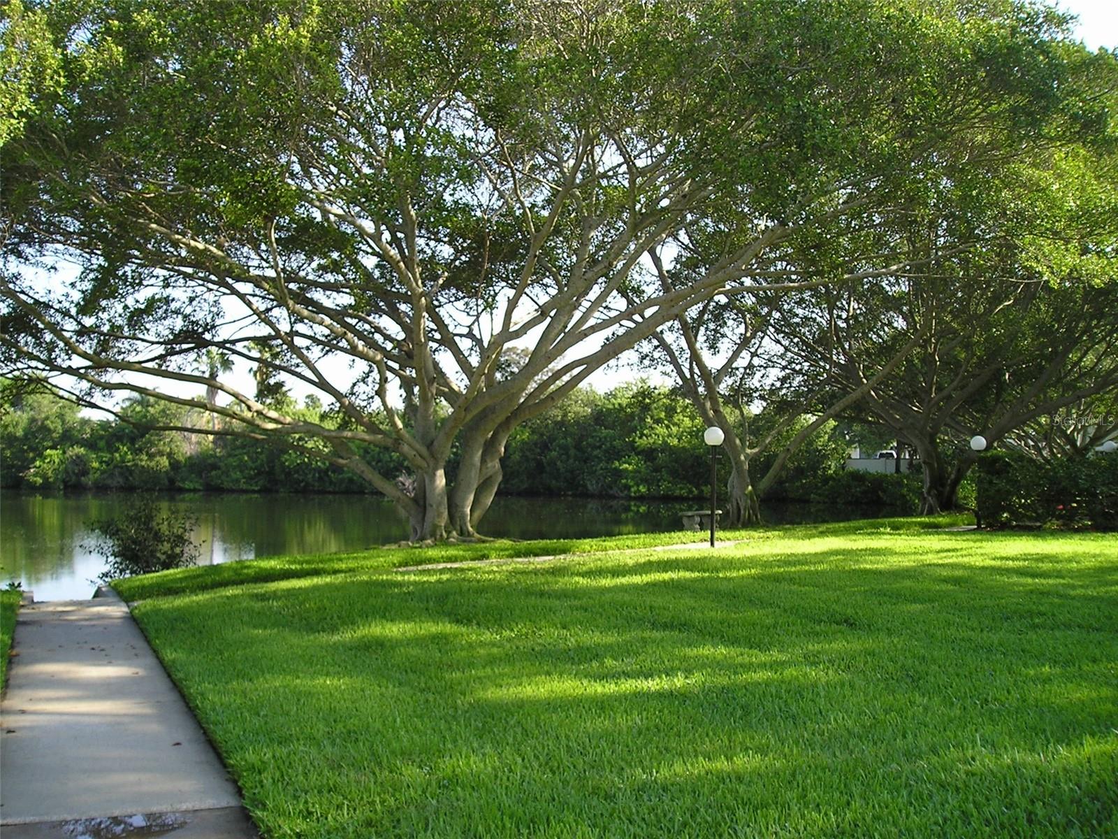 LAKE OVERLOOK APTS - Residential