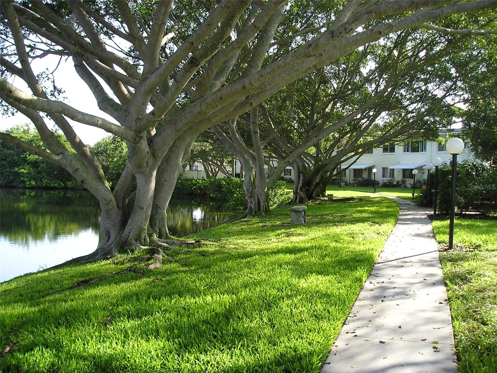 LAKE OVERLOOK APTS - Residential