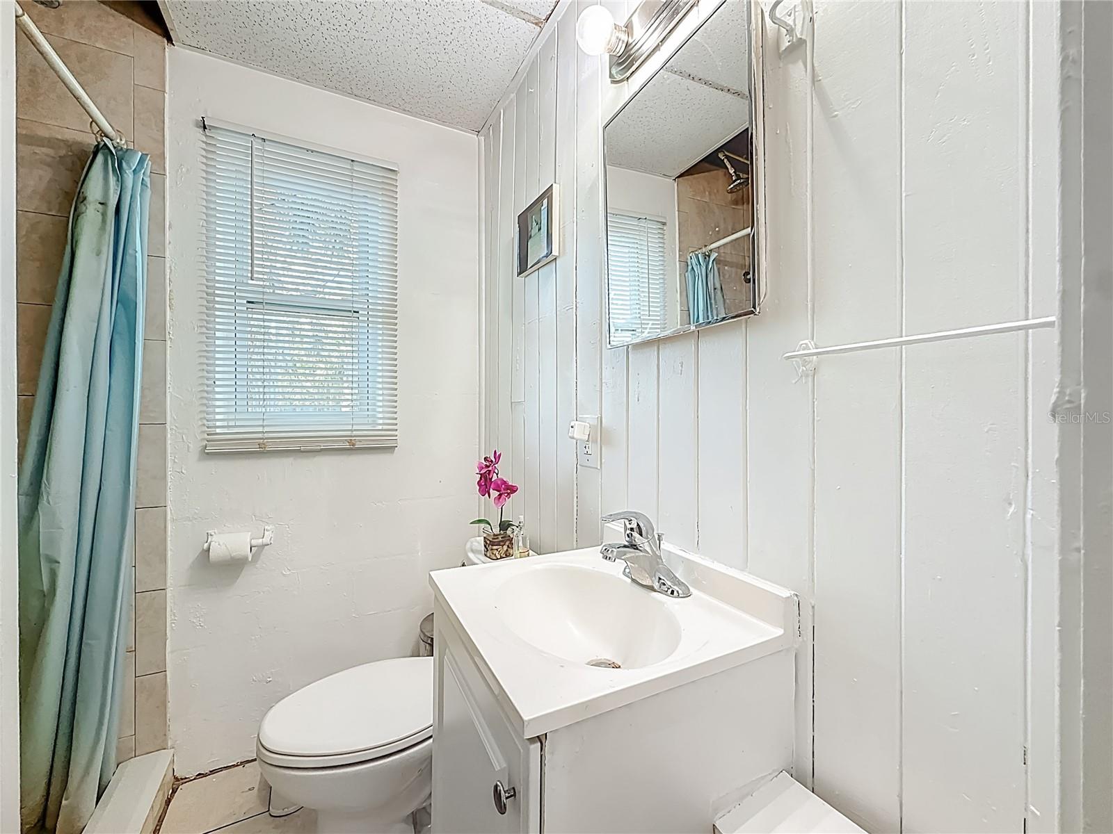 WILSON HEIGHTS - Residential