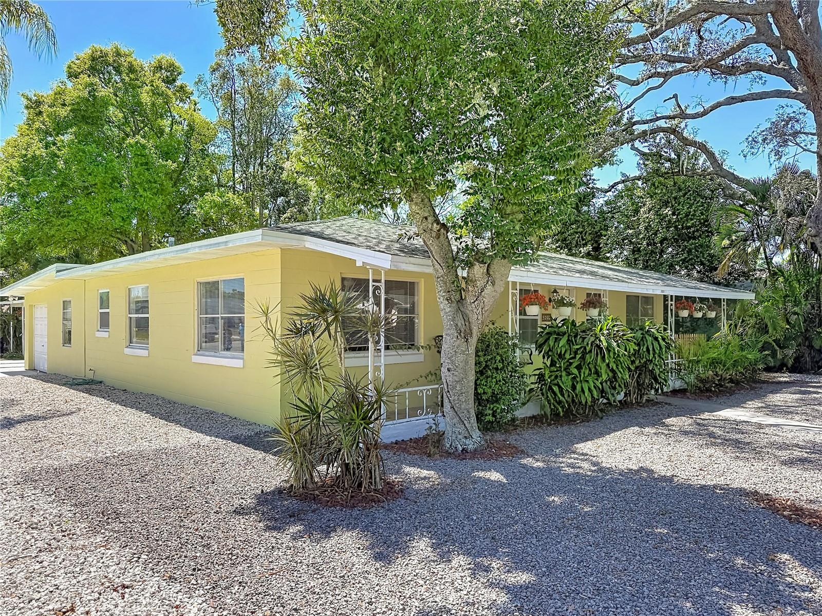 WILSON HEIGHTS - Residential